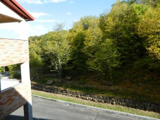 Tsaghkahovit Hotel - Tsachkadzor - 6