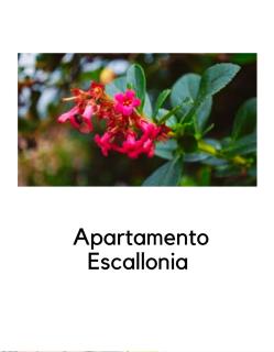 Alojamientos La Ermita - 7