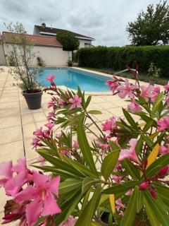 Les voyages de Louison - Lavardac - 2