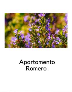 Alojamientos La Ermita - 4