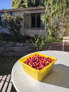 Villa plein pieds 8 personne piscine reste semaine juillet août - Simiane-Collongue - 2