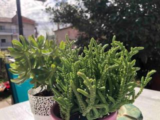 Spacious apartment Matej near the sea - 1