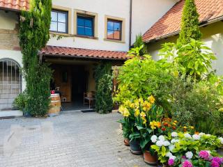 Ferienwohnung mit schöner Terrasse. - Ellerstadt - 3