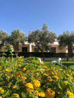 Otus Camere - Otranto - 1