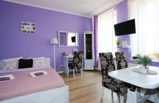 Apartament Lawendowy - Wałbrzych - 8