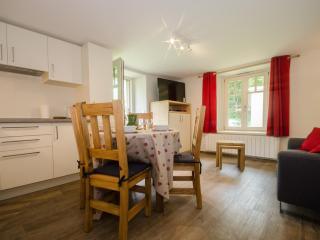 Charmant T3 rénové avec jardin, parking & wifi à Chamonix - FR-1-343-206 - Chamonix - 9
