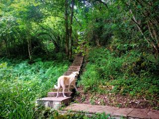 Apartamentos la buganvilla Novales - 9