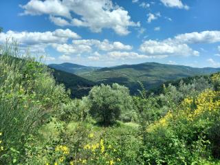 Valle Dame - Cortona - 4