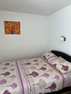 Studio Biki - Banja Koviljača - 6