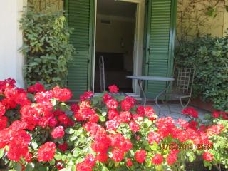 Hotel Moulin d'Aure - Saint-Rémy-de-Provence - 6