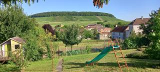 Gîte du Bel Air - Festigny - 6
