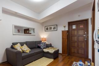Host Wise - Comfy Bright Flats with Netflix - Porto - 4