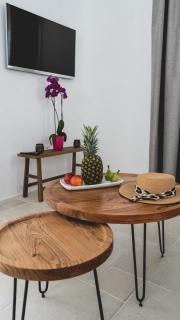 Gaia Mykonos Villas & Suites - 3