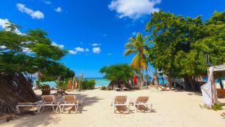 Bluemare EcoHotel Frente a la playa Ensendada - Punta Rucia - 2