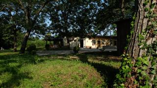 Polani - Il Noceto - 6