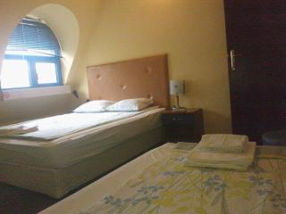 Fenix Family Hotel - Blagoevgrad - 7