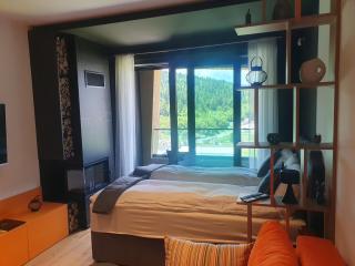 NA STAZI-Luxury Mountain- on the ski slope-Free parking,Tuzlaks apartment - Bjelašnica - 3