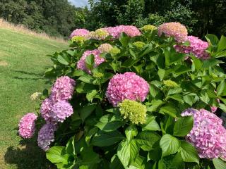 Gîte La Louisiane - 3