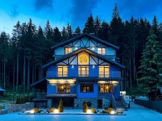 Blueberryhouse - Bukovel - 0