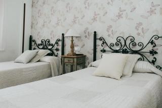 Entrada Río Lobos - 8