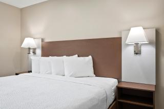 The English Inn of Charlottesville - Charlottesville - 4