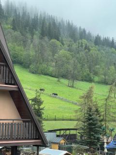Apartament KALINA - Ostoya Twoya - Poronin - 6