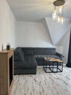 Apartament KALINA - Ostoya Twoya - Poronin - 5