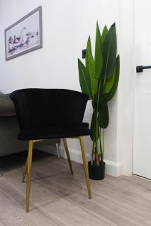 Fewston House Apartments - 4