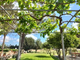 Villa Minioti Apartment A - 9