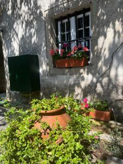 Planalto Dourado - 6