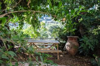 Harmony Inn - Safed - 3