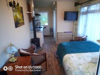 Peaceful ensuite lakeside cabin 'Tench' - Hadlow Down - 9