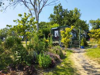 Peaceful ensuite lakeside cabin 'Tench' - Hadlow Down - 6
