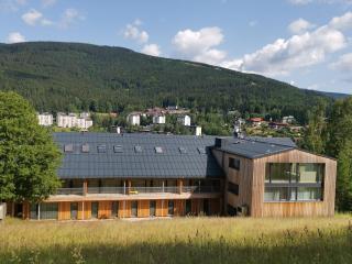 Apartmán_Alpina Špindlerův Mlýn - 4