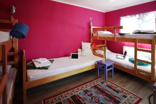 Hostel Bed&Coffee 360° - Belgrad - 5