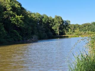 Domaine des Aulnaies - Beauval - Mareuil sur Cher - Mareuil-sur-Cher - 6