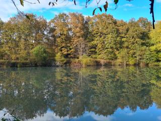 Domaine des Aulnaies - Beauval - Mareuil sur Cher - 7