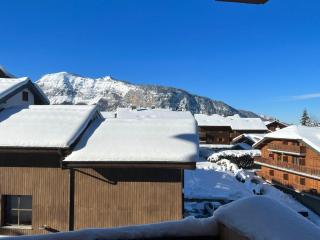 Charmant Studio-Cabine 4 pers, Centre-Village, Balcon Ouest, à 600m des Pistes - FR-1-572-281 - Arâches-la-Frasse - 3