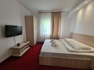 Vila Vitalis - Predeal - 7