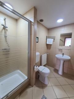 Vila Vitalis - Predeal - 6