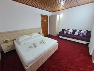 Vila Vitalis - Predeal - 2