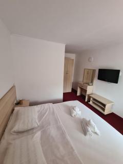Vila Vitalis - Predeal - 5