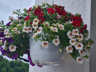 Vila Vitalis - Predeal - 4