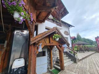 Vila Vitalis - Predeal - 9