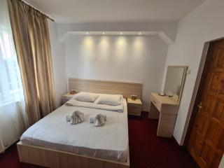 Vila Vitalis - Predeal - 8