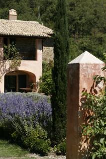 Casa Rosa - 1