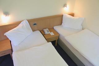 Hotel Tomislavov Dom - Zagreb - 1