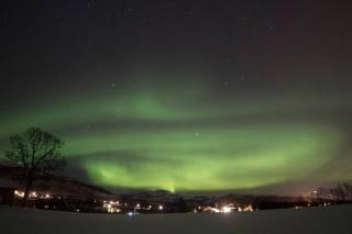 Charming place in Tromsø by the sea. - - 4