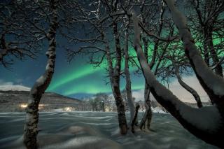 Charming place in Tromsø by the sea. - - 7