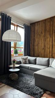 Apartmán Smrk - Vrbno pod Pradědem - 0